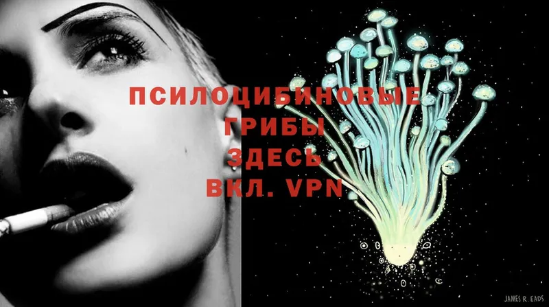 blacksprut   Вятские Поляны  Галлюциногенные грибы мухоморы 